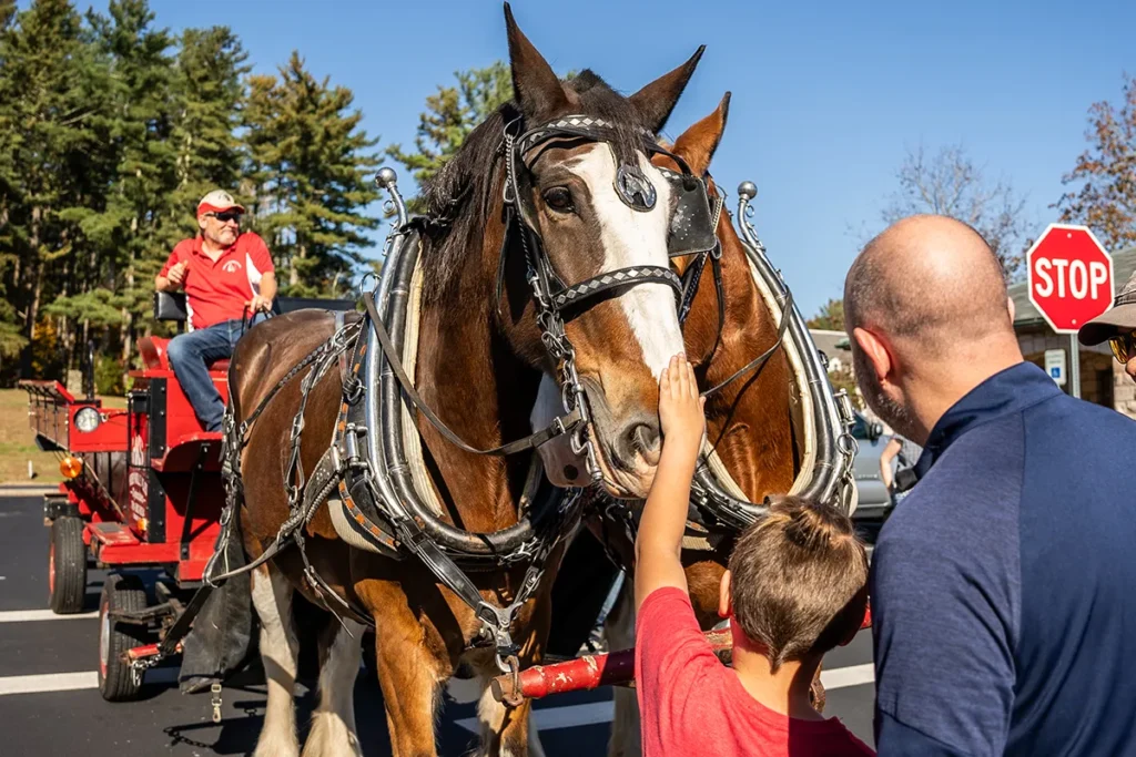 Matt and Tyler pet a clydesdale