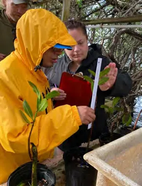 Bermuda Institute of Ocean Science trip